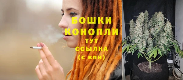 крисы Майский