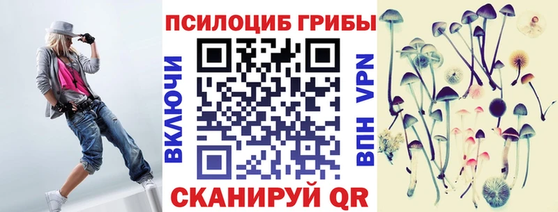 omg зеркало  Макушино  Псилоцибиновые грибы мухоморы 